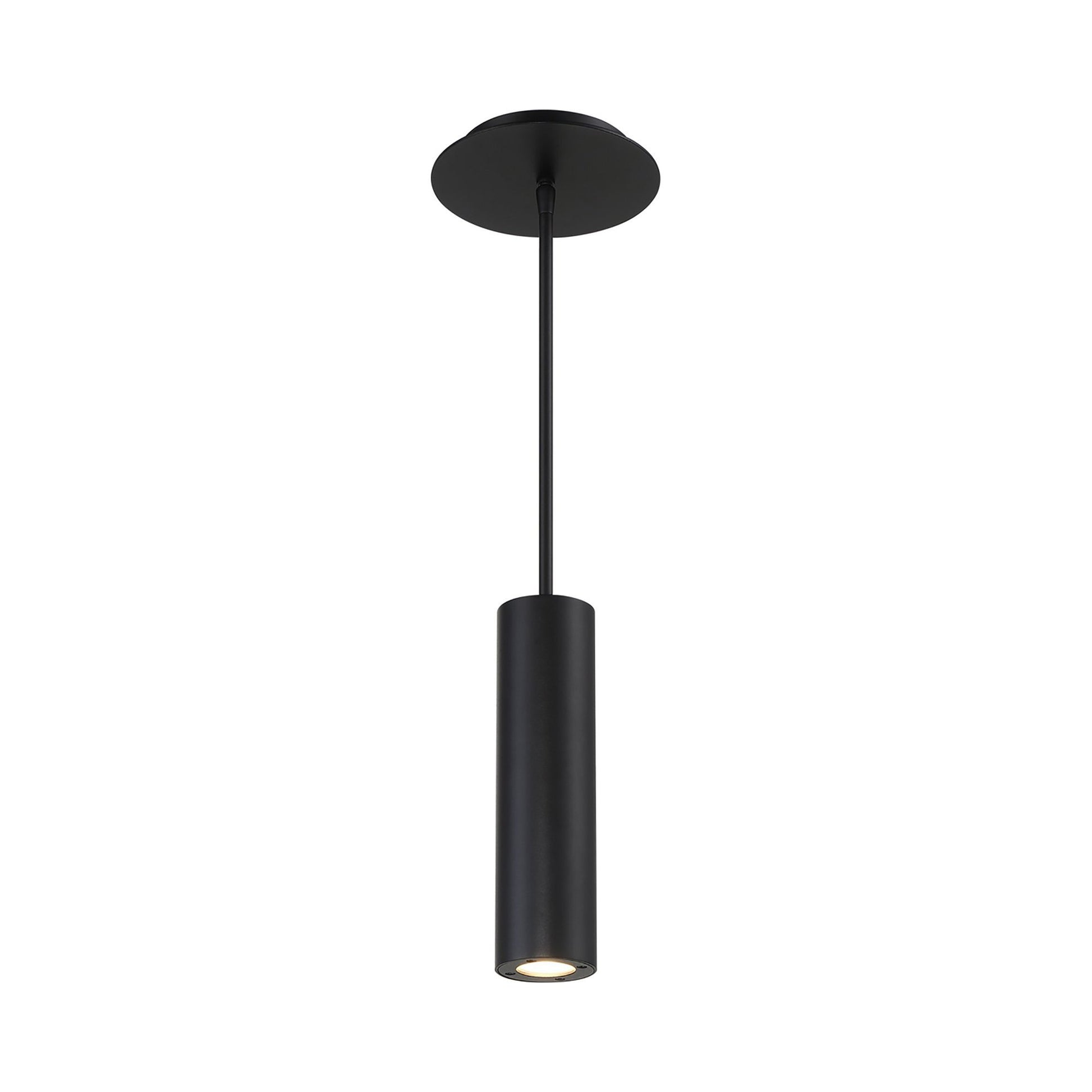 Caliber Indoor/Outdoor LED Pendant Light in Black.