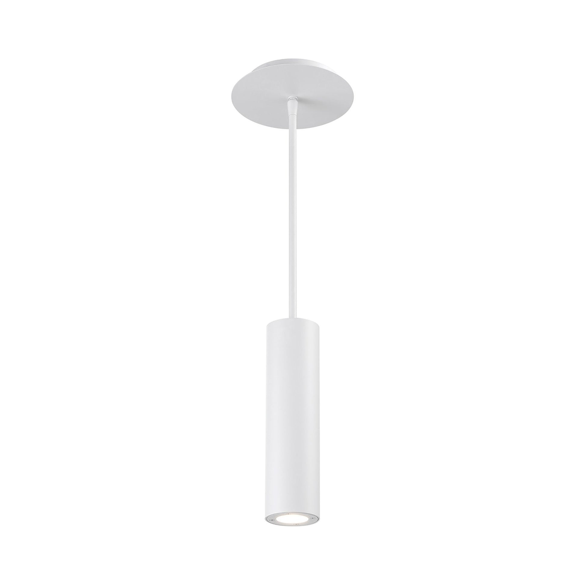 Caliber Indoor/Outdoor LED Pendant Light in White.