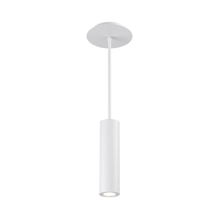 Caliber Indoor/Outdoor LED Pendant Light in White.