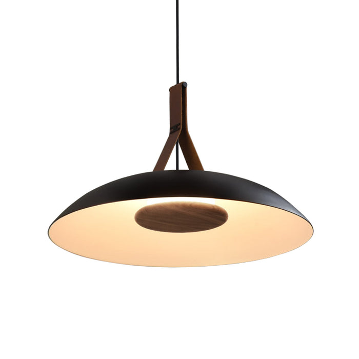 Volo LED Pendant Light in Duex.