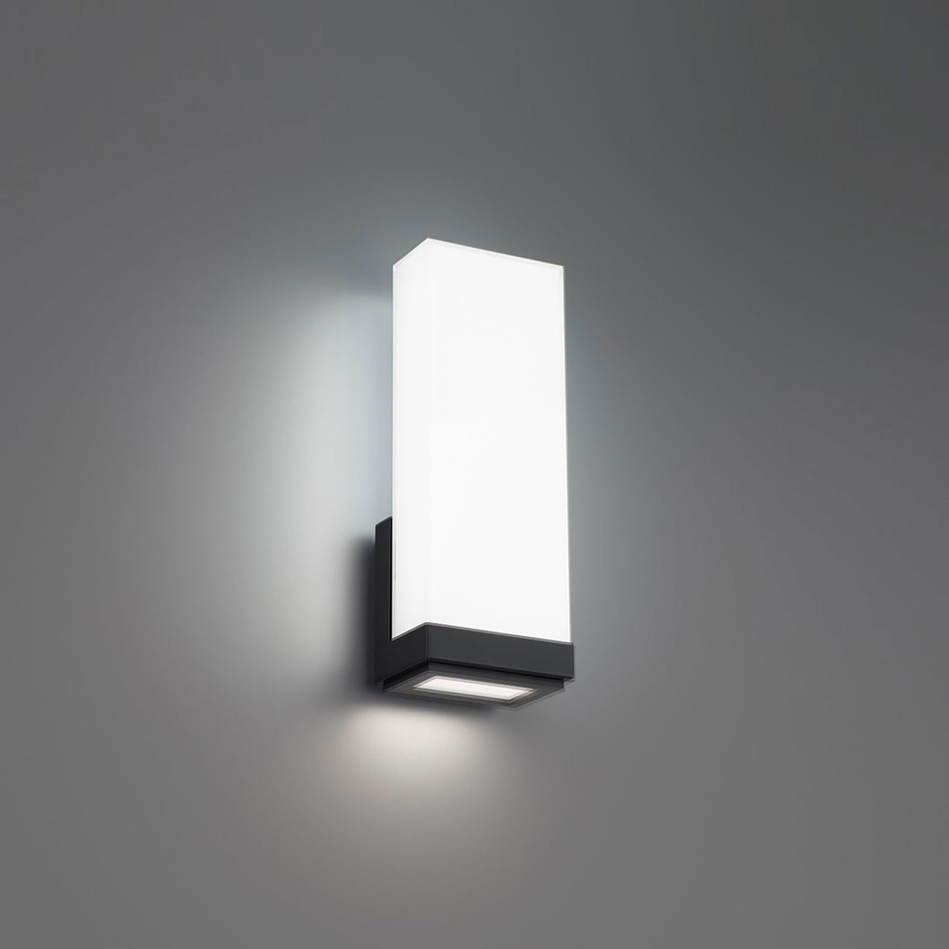 Coltrane LED Wall Light in Black.