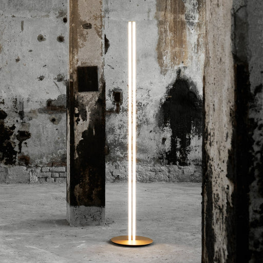 Coordinates LED Floor Lamp Illuminated