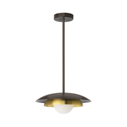 Carapace Pendant Light.