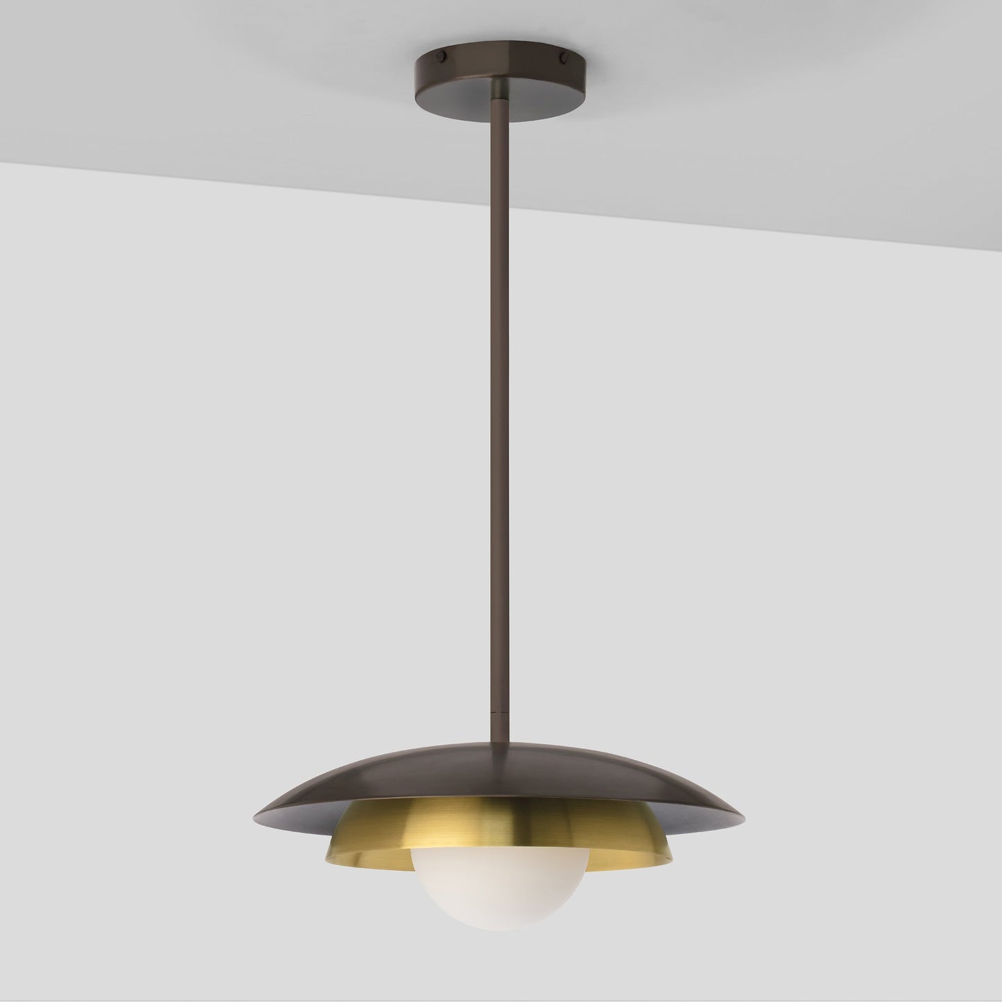 Carapace Pendant Light in Detail.