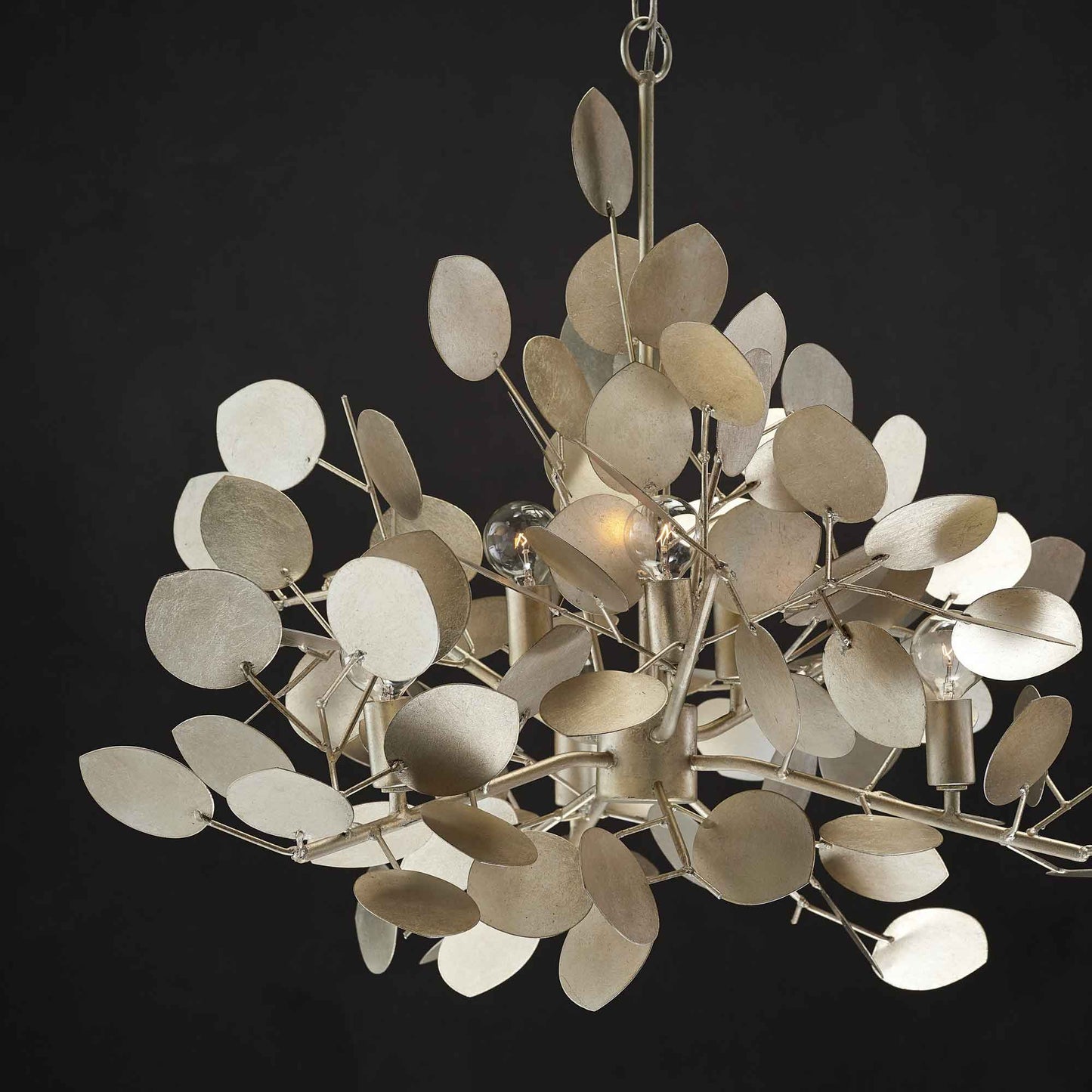 Lunaria Chandelier in Detail.