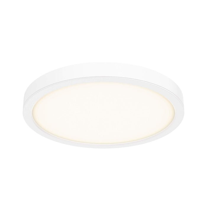 Delta Round Indoor/Outdoor LED Flush Mount Ceiling Light in White (Large).