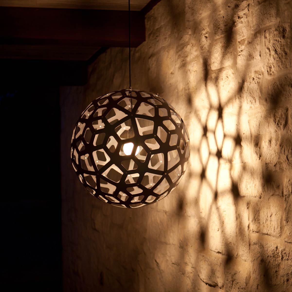 Coral Outdoor Pendant Light in Detail.