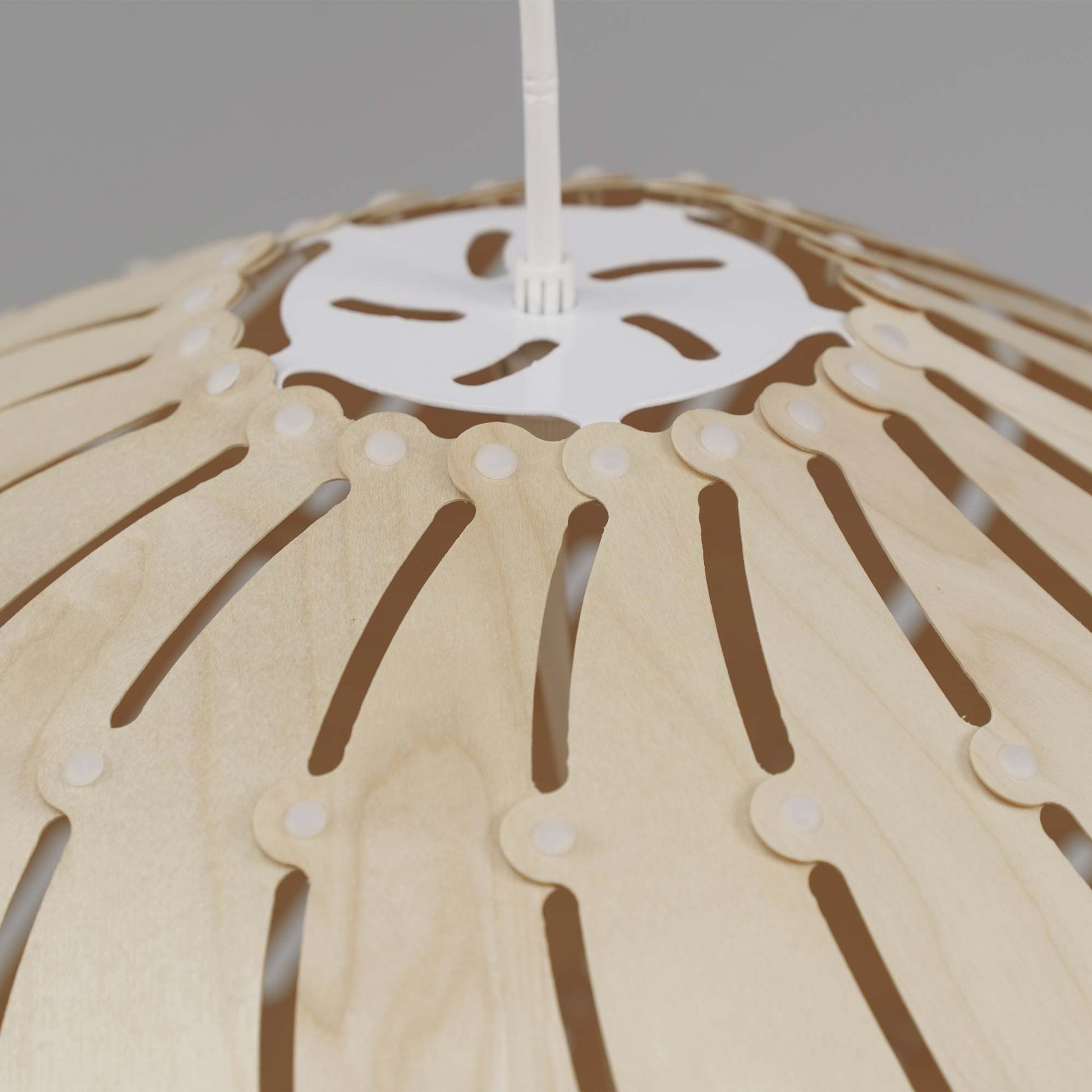 Ebb LED Bounce Pendant Light in Detail.