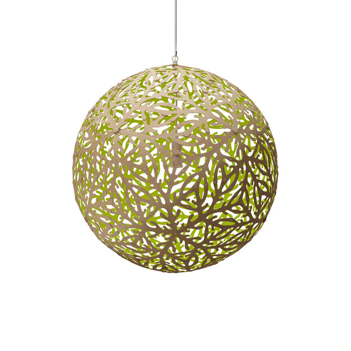 Sola Pendant Light in Bamboo/Lime (Medium).