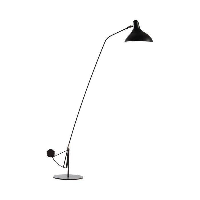 Mantis BS1 LED Floor Lamp in Round Base.