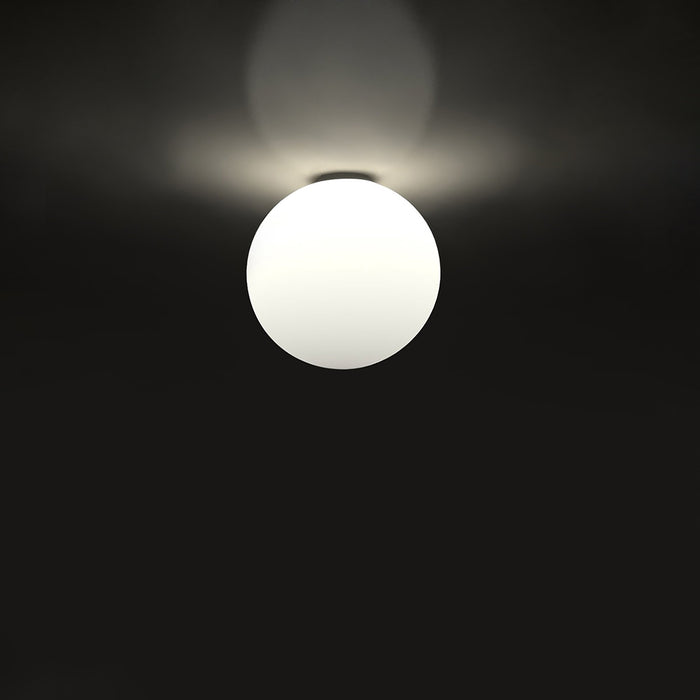 Dioscuri Indoor/Outdoor Ceiling/Wall Light in Medium.