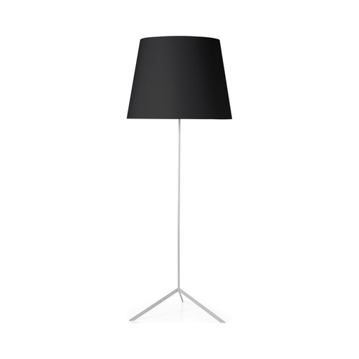 Double Shade Floor Lamp in Black and White.