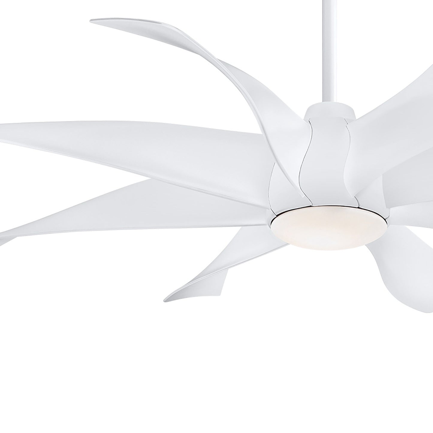 Dream Star LED Ceiling Fan in Detail.