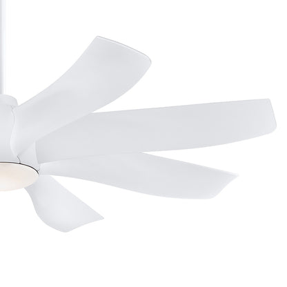 Dream Star LED Ceiling Fan in Detail.