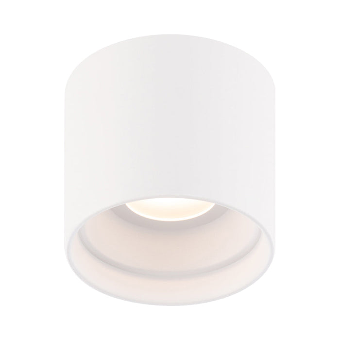 Downtown Outdoor LED Flush Mount Ceiling Light in White (Round).