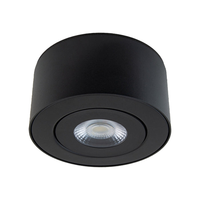 Peek Outdoor LED Flush Mount Ceiling Light in Black.