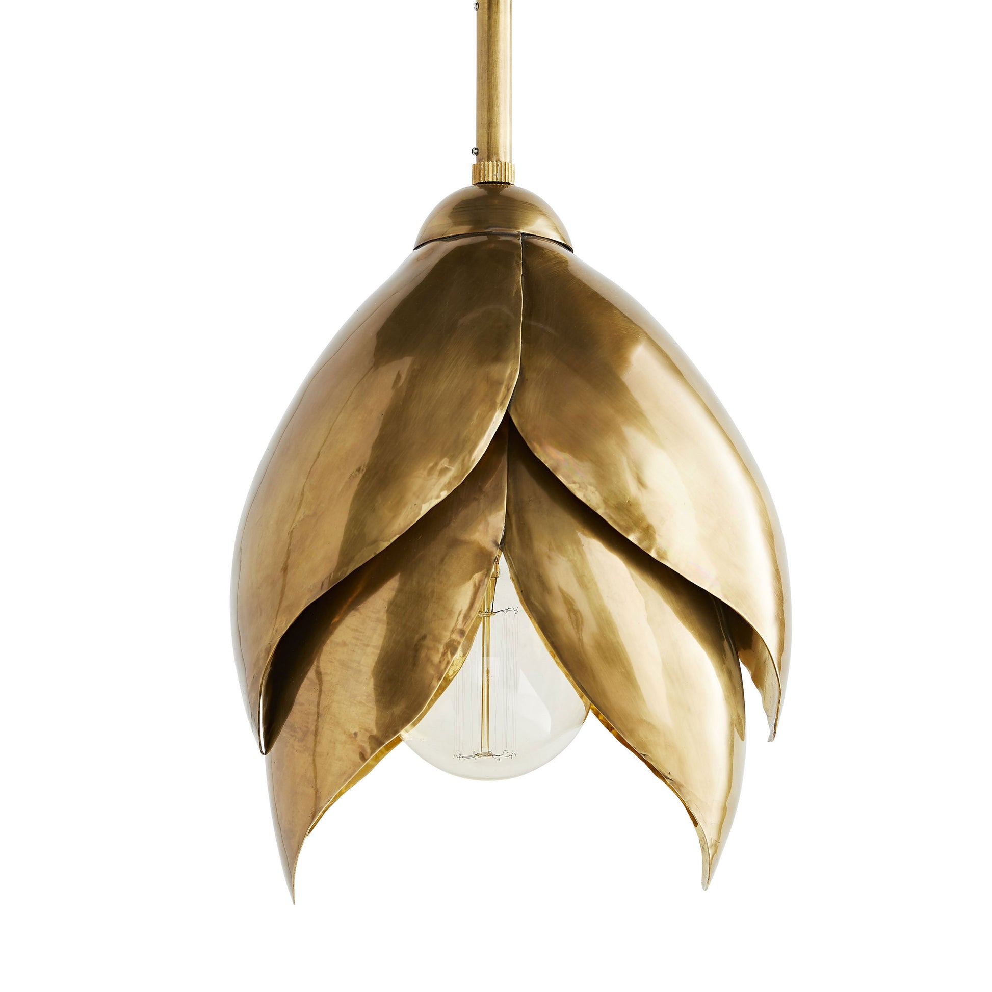 Edith Pendant Light in Detail.