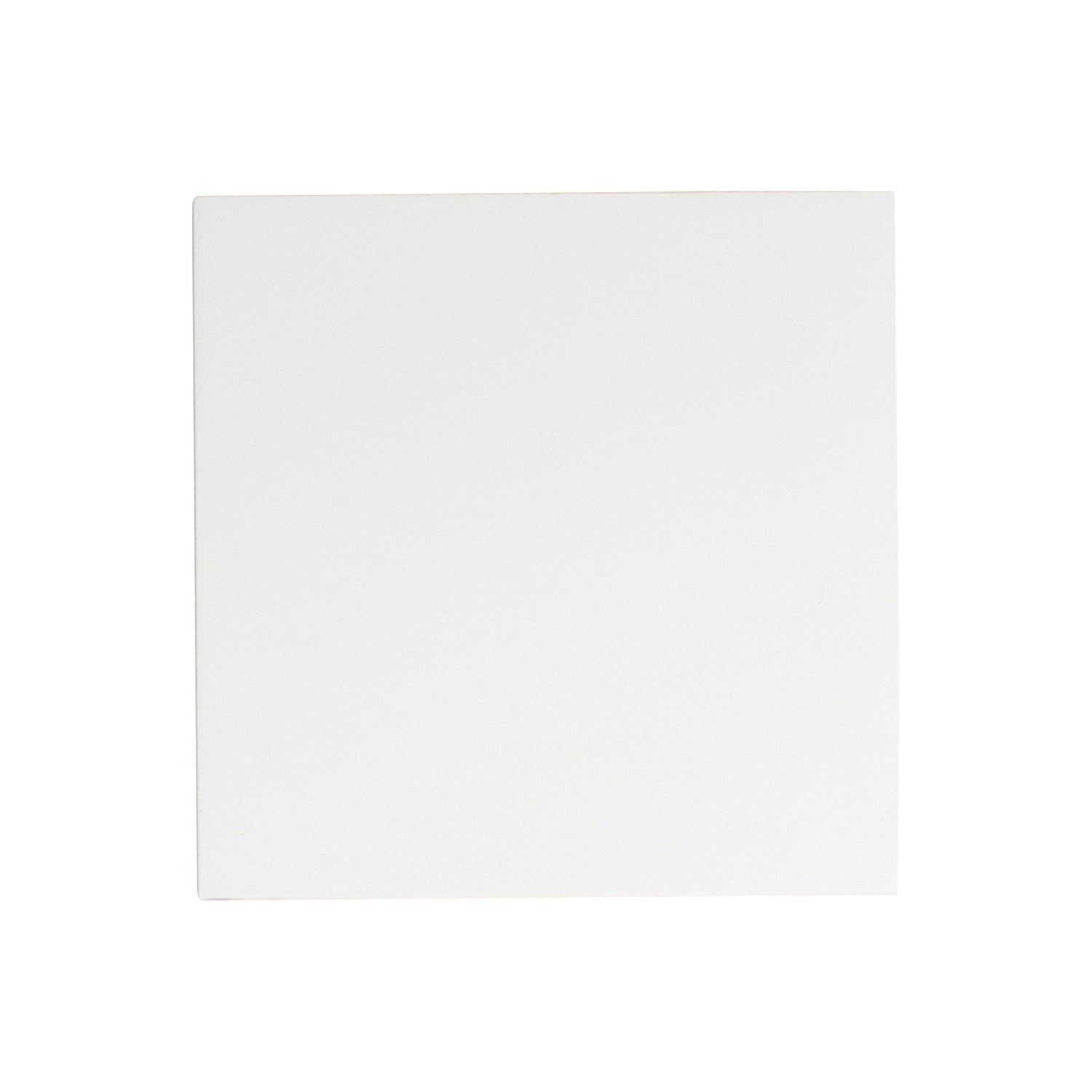 Brik Outdoor LED Wall Light in White (6.25-Inch/120V).