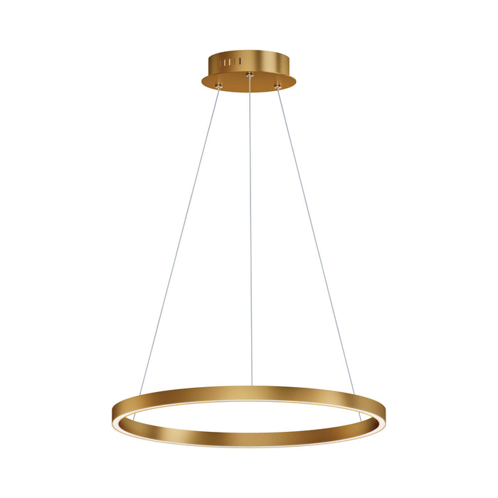 Groove LED Pendant Light in Gold (23.5-Inch).