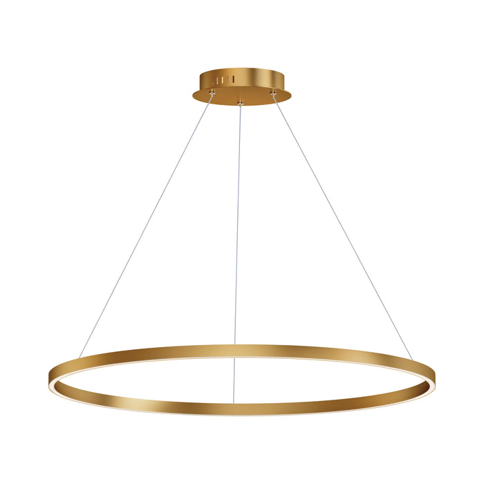 Groove LED Pendant Light in Gold (39.5-Inch).