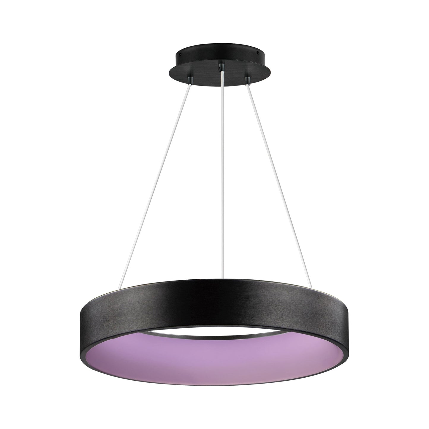 IQ WIZ LED SMART Pendant Light in Detail.