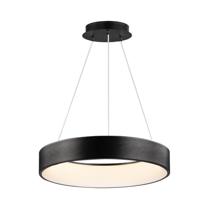 IQ WIZ LED SMART Pendant Light in Detail.