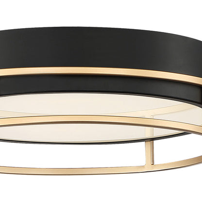 Grafice LED Flush Mount Ceiling Light in Detail.