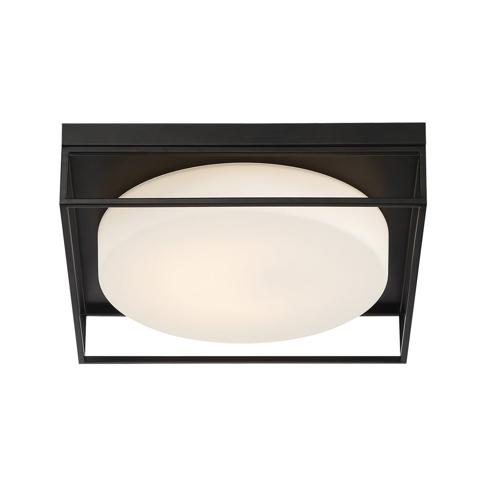 Rover LED Flush Mount Ceiling Light.