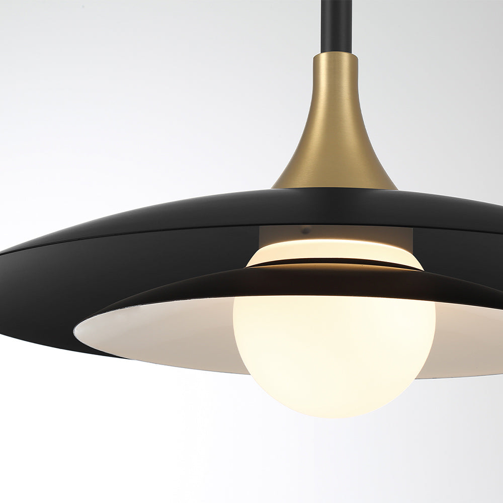 Welsh LED Pendant Light in Detail.
