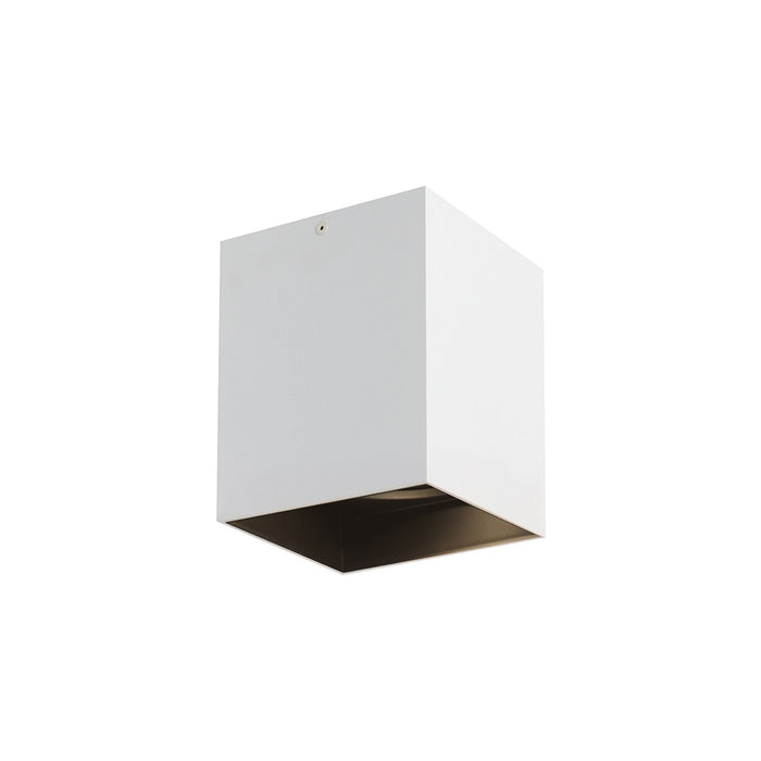 Exo LED Flush Mount Ceiling Light in Matte White/Black (Small).