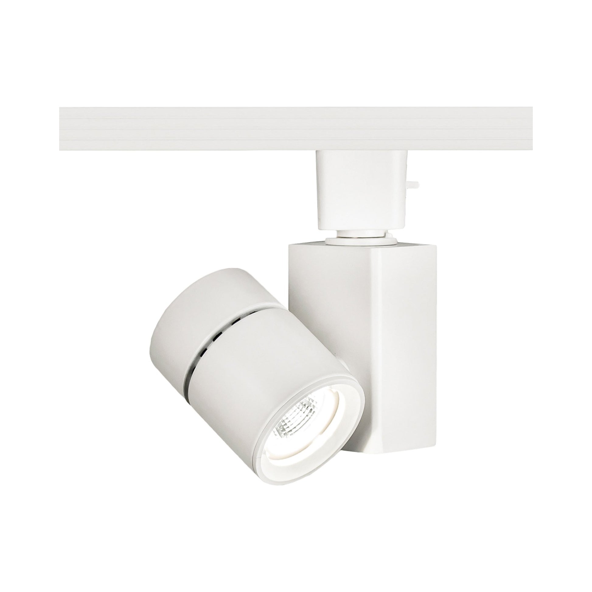 Exterminator II 1014 LED Track Head in White (H Track).