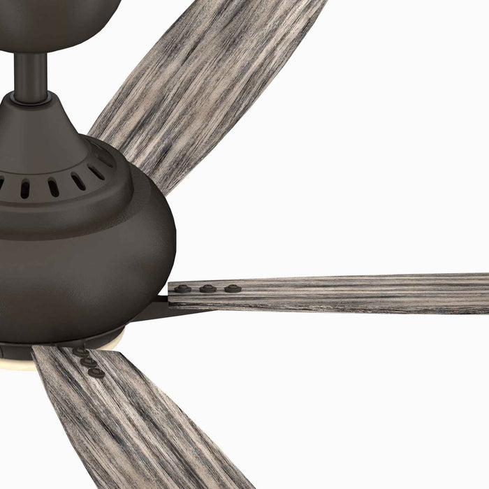Doren LED Ceiling Fan in Detail.