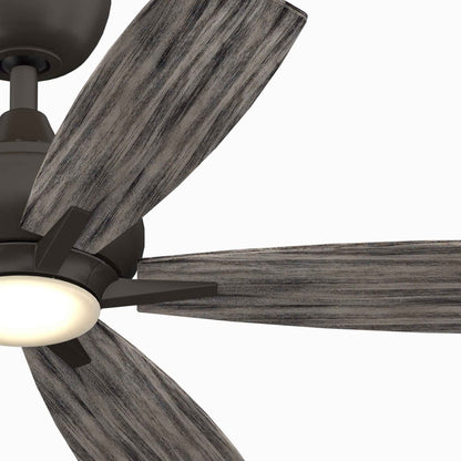 Doren LED Ceiling Fan in Detail.