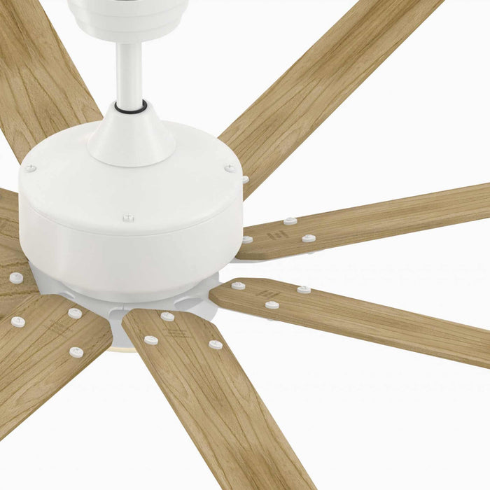 Levon Custom LED Ceiling Fan in Detail.