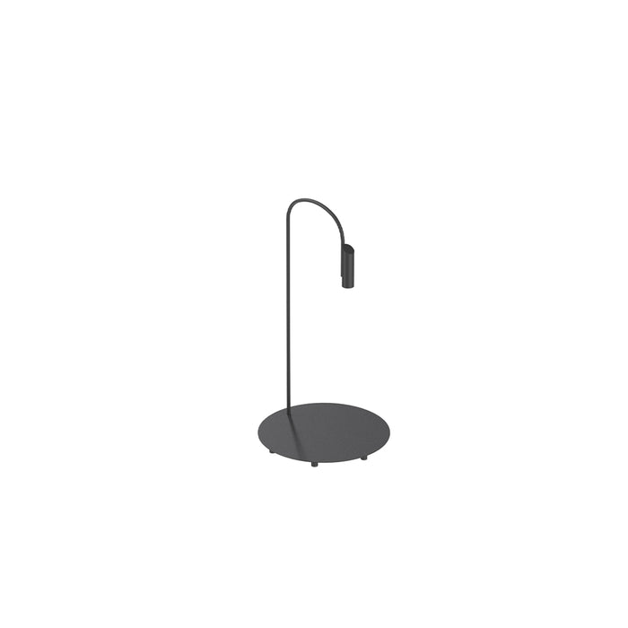 Caule Outdoor LED Floor Lamp in Black (37.4-Inch).