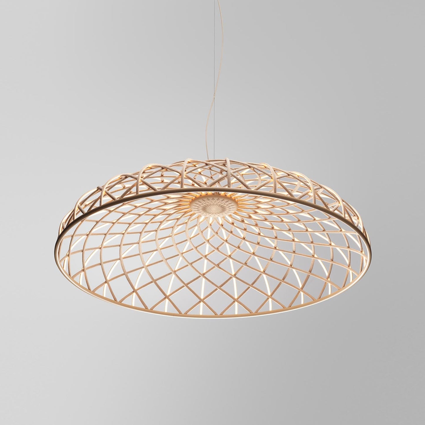 Skynest LED Pendant Light in Detail.