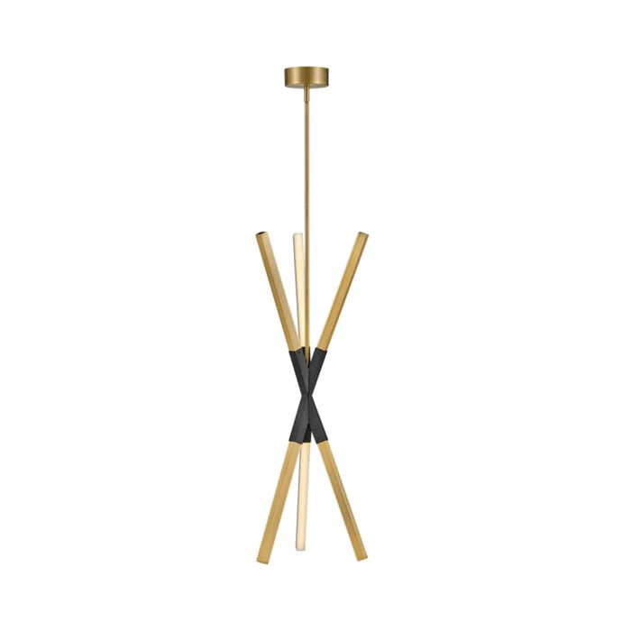 Rae LED Pendant Light in Vertical/Lacquered Brass.