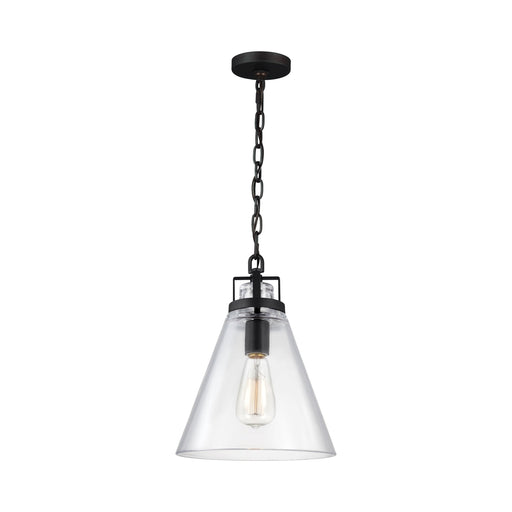 Frontage Pendant Light in Clear.