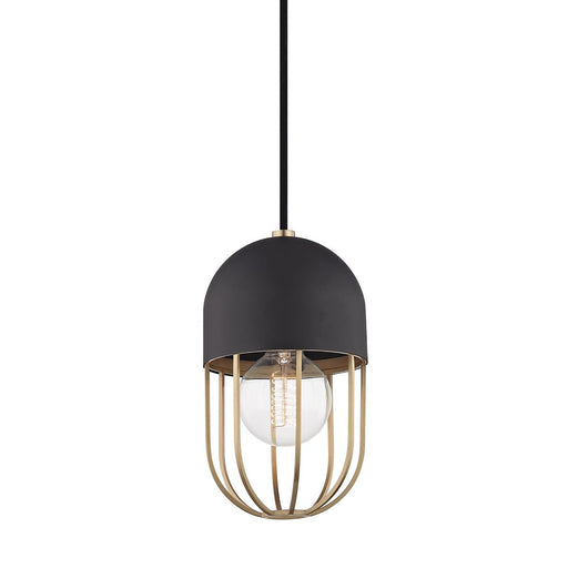 Haley Pendant Light in Black and Brass.
