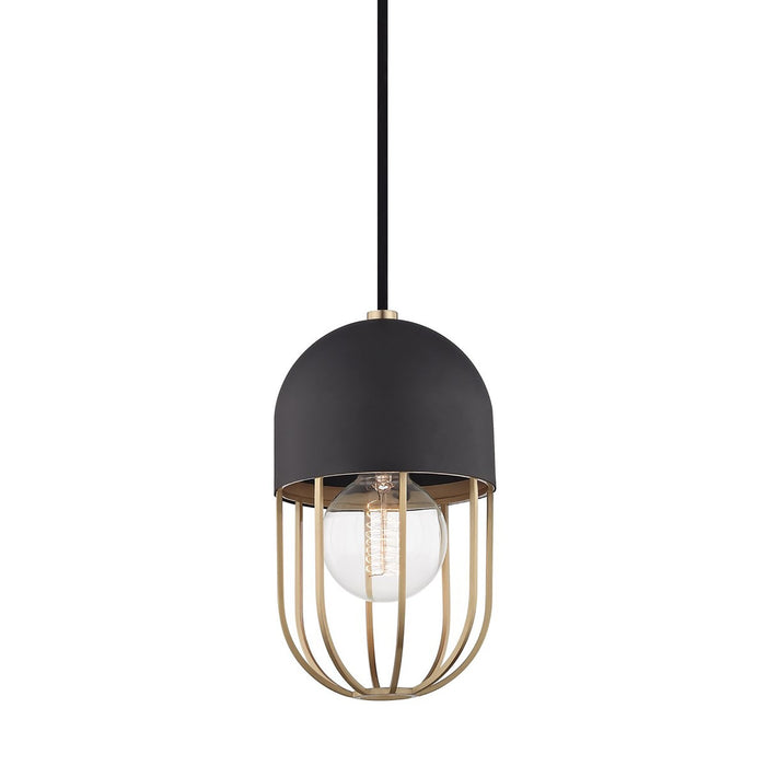 Haley Pendant Light in Black and Brass.