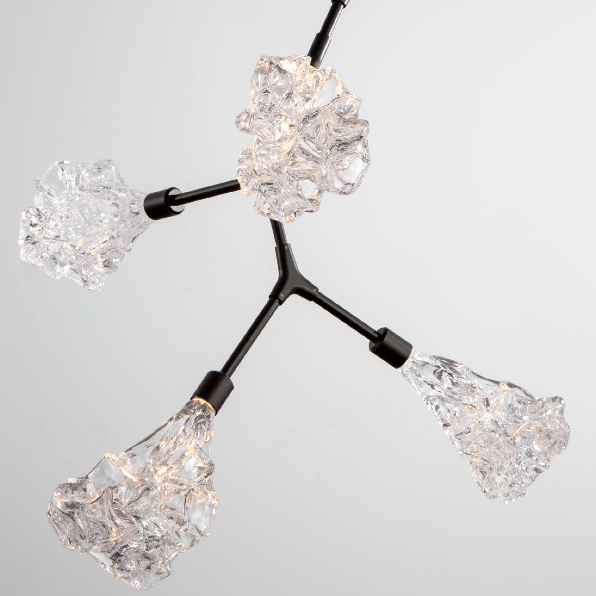 Blossom Modern Vine LED Pendant Light in Detail.