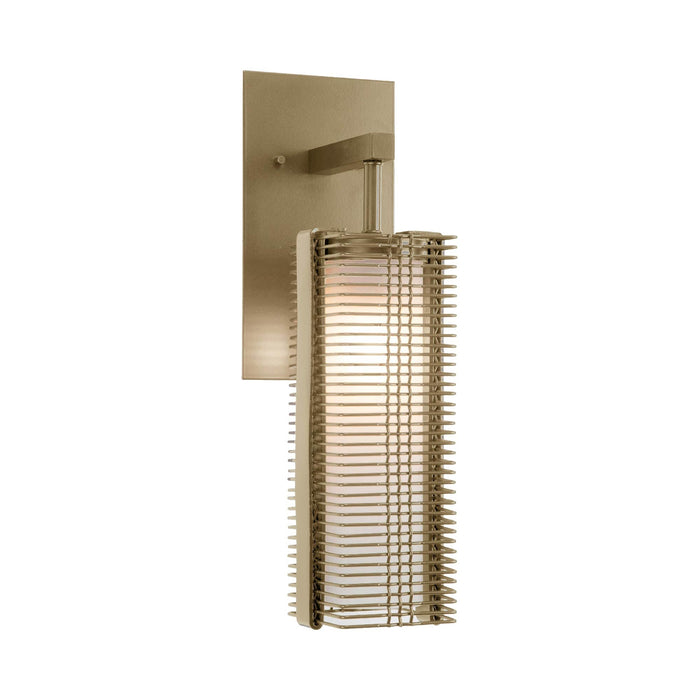 Downtown Mesh Wall Light in Gilded Brass/Incandescent.