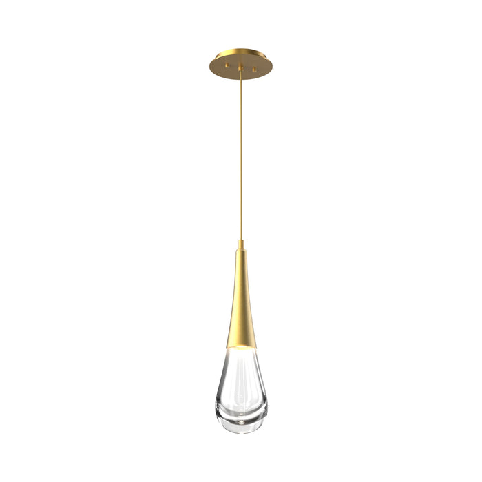 Raindrop LED Pendant Light in Gilded Brass.