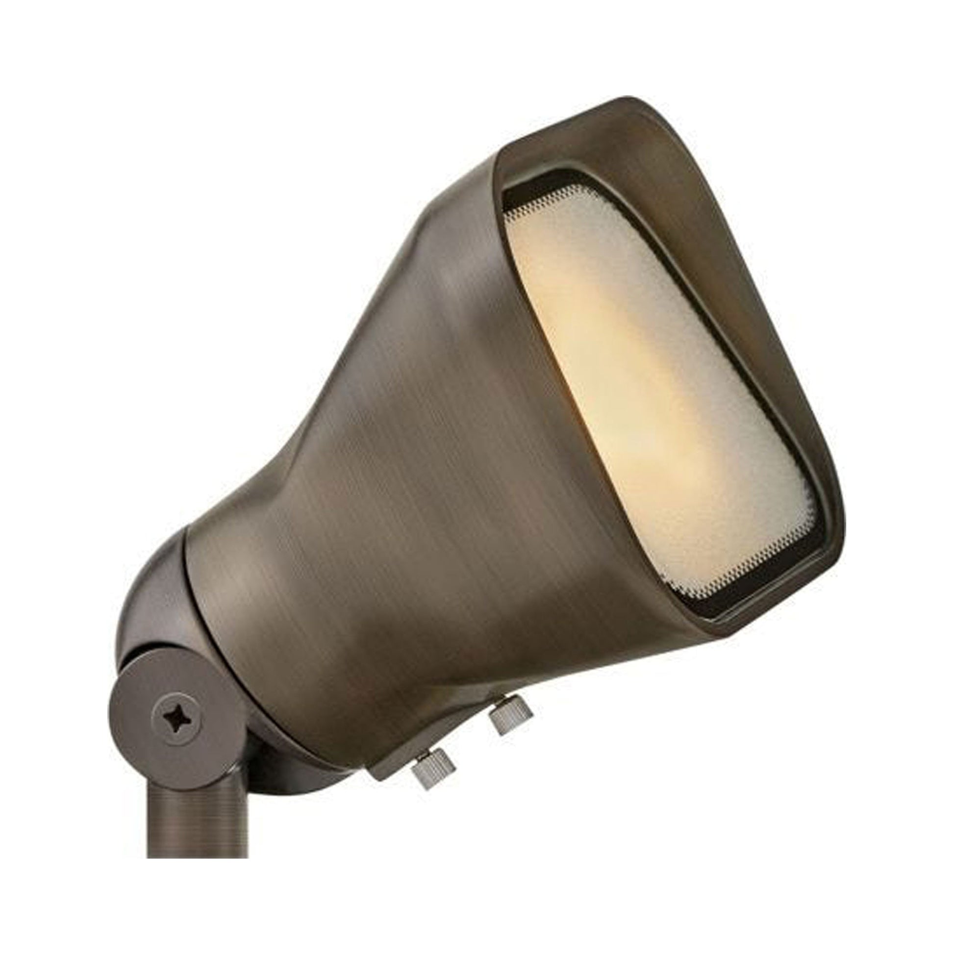 Accent Outdoor Flood Light in Matte Bronze.