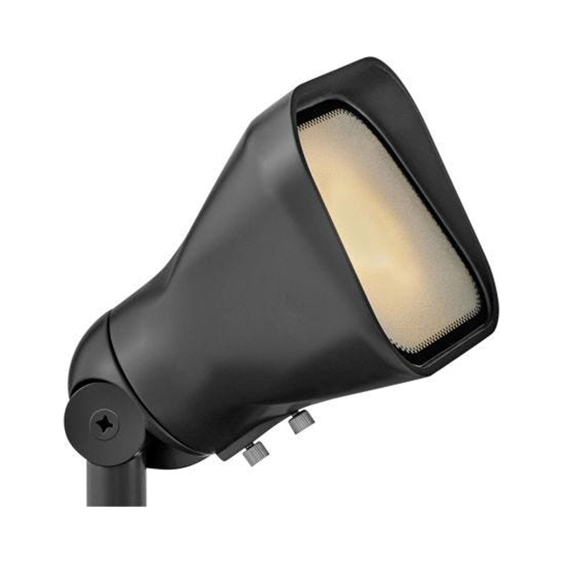 Accent Outdoor Flood Light in Satin Black.