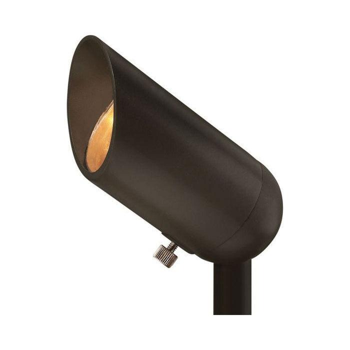 Accent Outdoor LED Spot Light in Bronze.