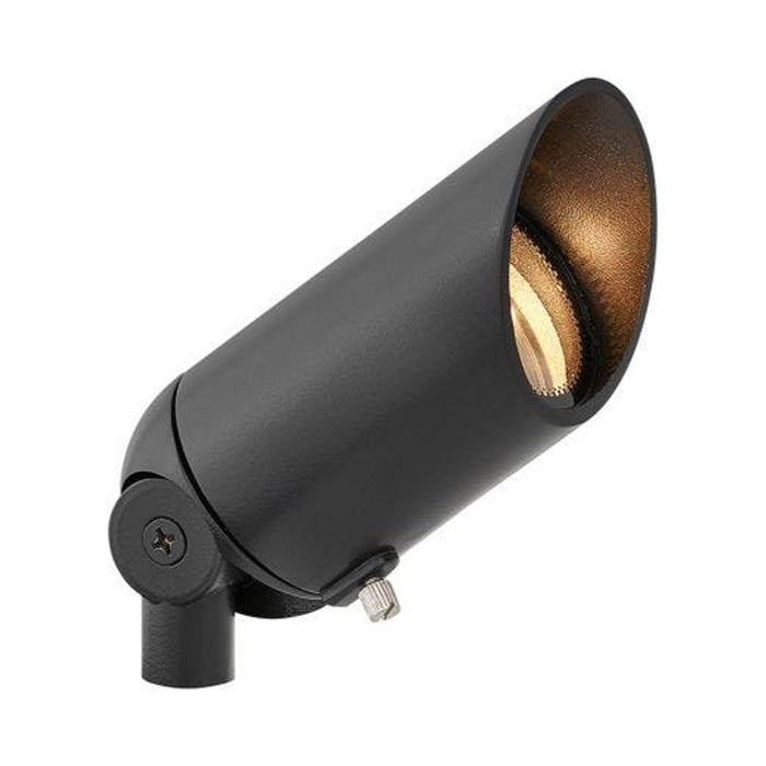Accent Outdoor LED Spot Light in Satin Black.