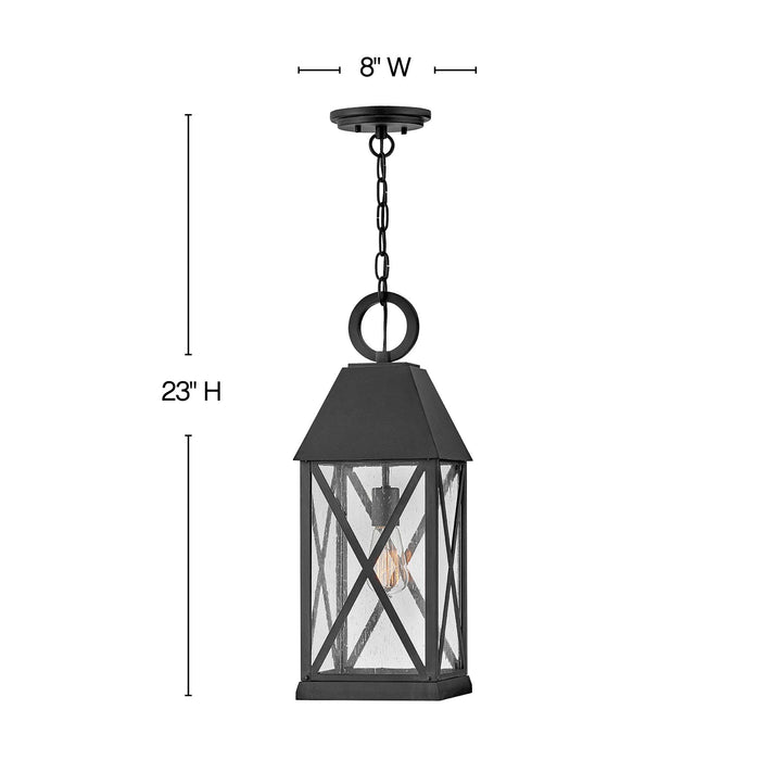 Briar Outdoor Pendant Light - line drawing.