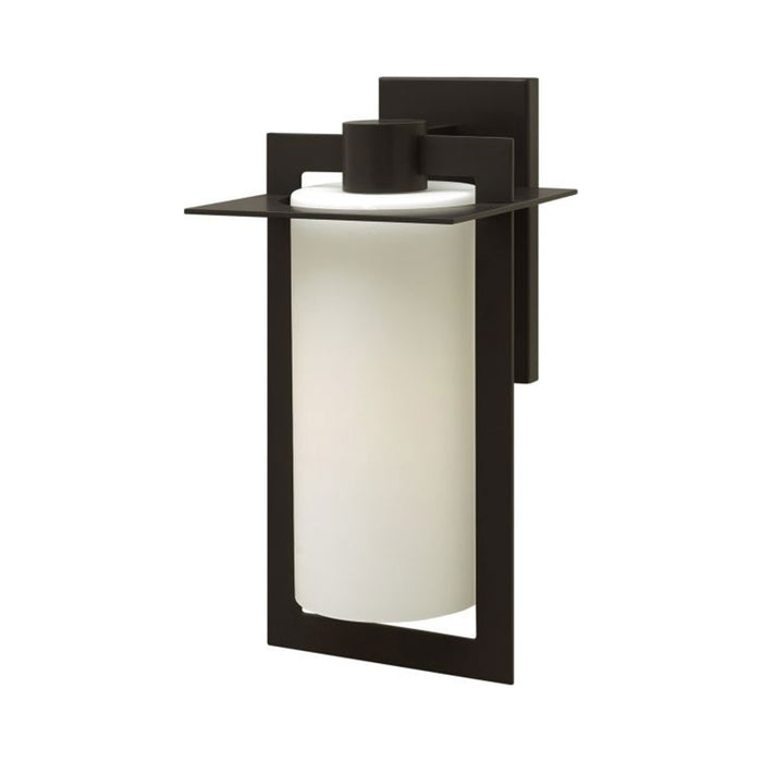 Colfax Outdoor Wall Light (Large).