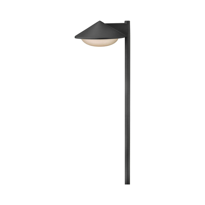 Contempo LED Path Light in Charcoal Gray.